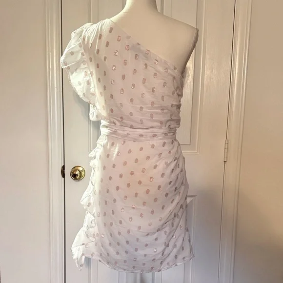 “LOVERS + FRIENDS” X Revolve Whitney Rose Dress - Picture 12 of 16